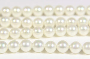 White Mother of Pearl