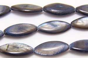 Atlantic Grey Tint Natural Shell 