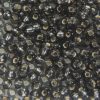 Silver Lined Black Preciosa Seed Beads