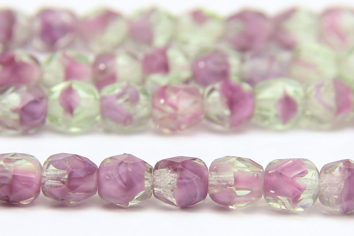 African Violet Hurricane Fire Polished