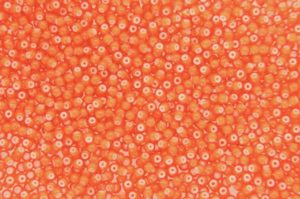 White Lined Orange Preciosa Seed Beads