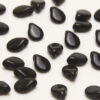 Glossy Jet Black Pip Beads