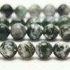 Tree Agate 10mm Facetted Round Semi Precious Gemstones