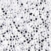 White Ceylon Miyuki 11/0 Seed Beads