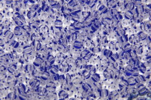 Blue Striped Crystal Preciosa 8/0 Seed Beads