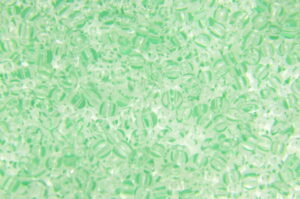 Lime Striped Crystal Preciosa 8/0 Seed Beads