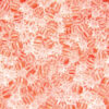 Salmon Striped on Crystal Preciosa 8/0 Seed Beads
