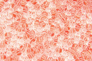 Salmon Striped on Crystal Preciosa 8/0 Seed Beads