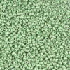 Matte Metallic Chameleon Green Preciosa Seed Beads